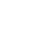 Pistolas icon